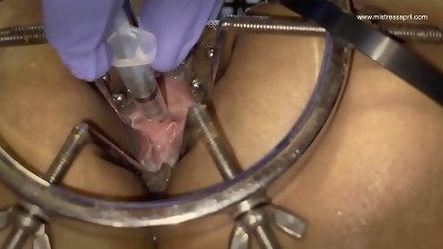 mistress domina April - sub Rose, never forget you phone again !